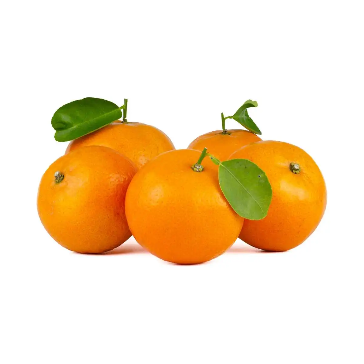 Naranjas de Valencia